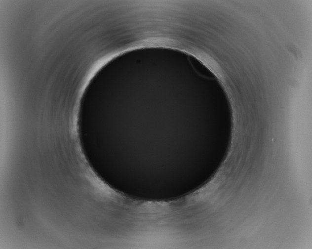 X0000111480912200907141215