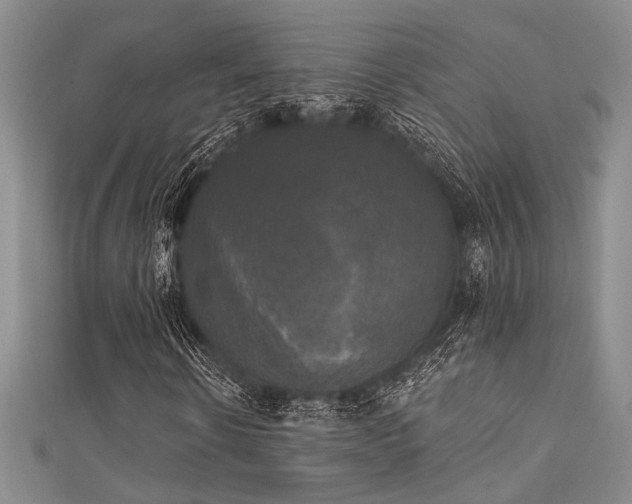 X0000111480914200907141214