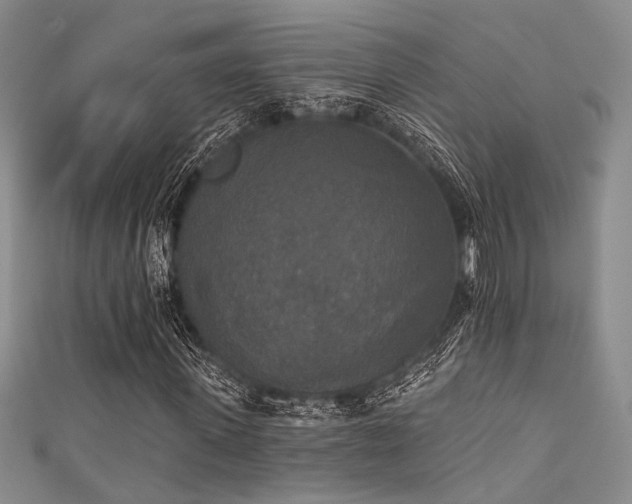 X0000111480915200907141214