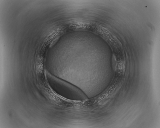 X0000111480916200907141214
