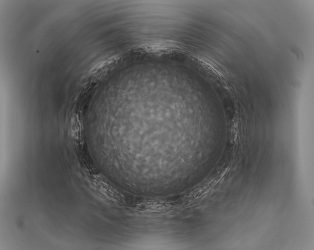 X0000111480917200907141214