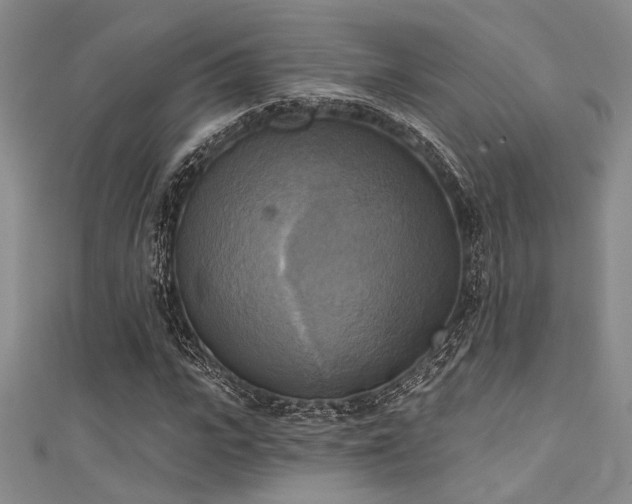 X0000111480919200907141214
