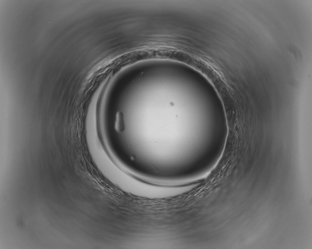 X0000111480920200907141214
