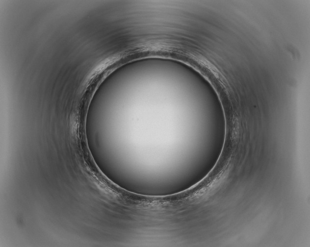 X0000111480922200907141214