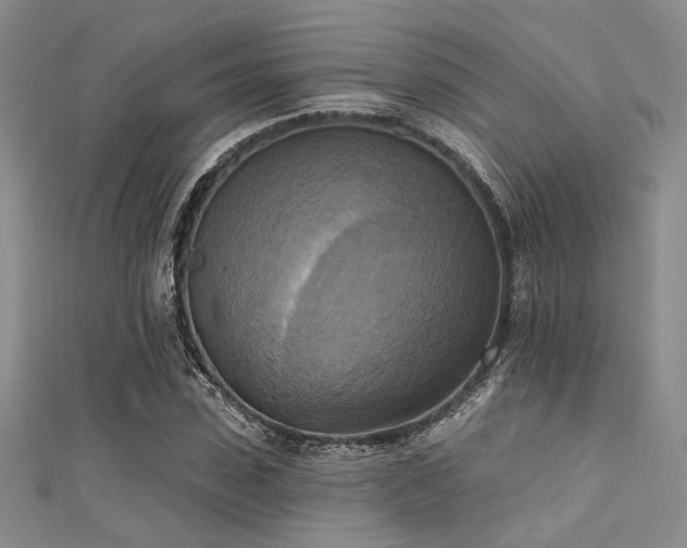 X0000111480923200907141214