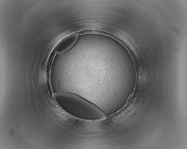X0000111480924200907141214