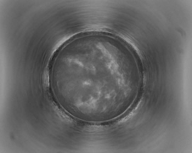 X0000111480925200907141214