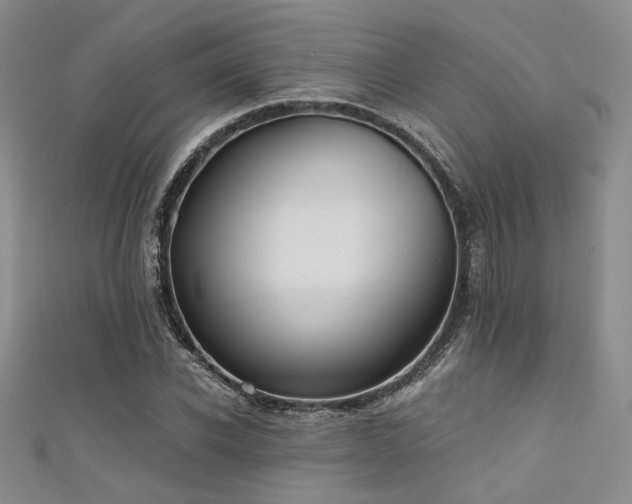 X0000111480926200907141214
