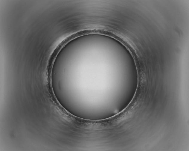 X0000111480927200907141214