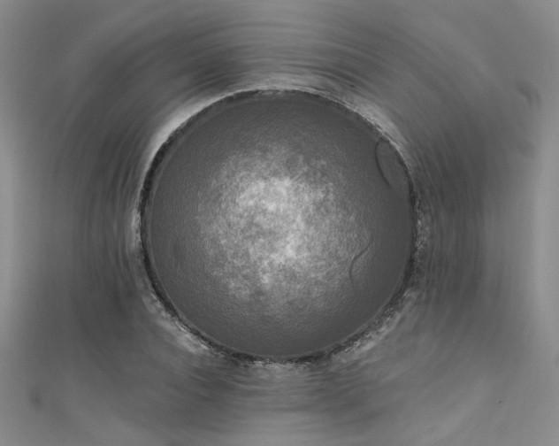 X0000111480928200907141214