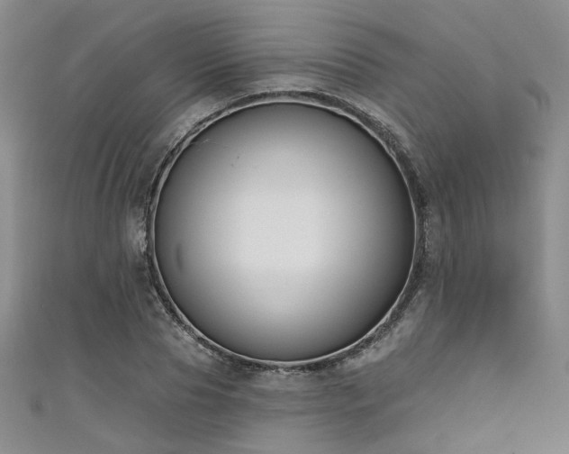 X0000111480929200907141214