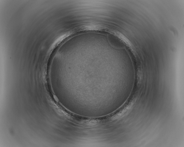 X0000111480930200907141214