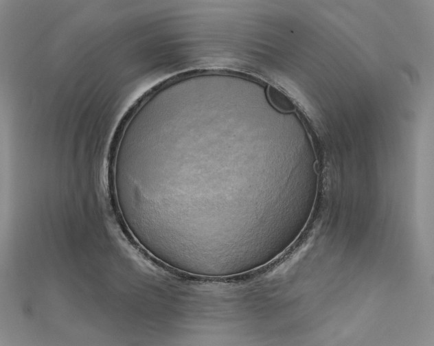X0000111480932200907141214