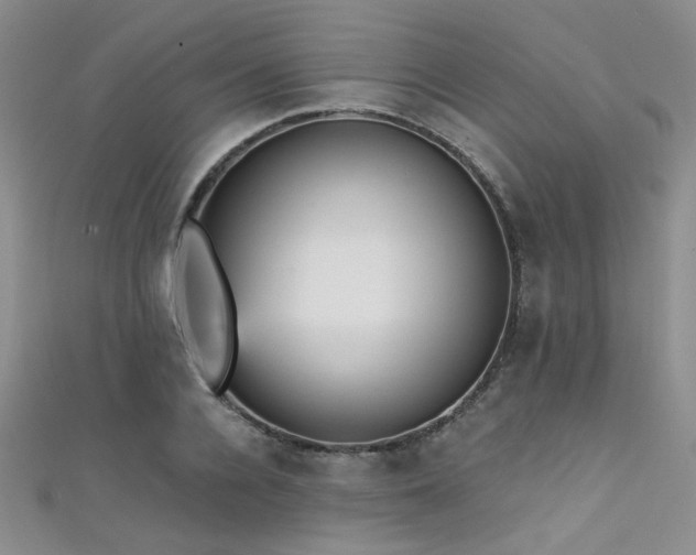X0000111480936200907141214