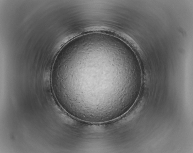 X0000111480937200907141214