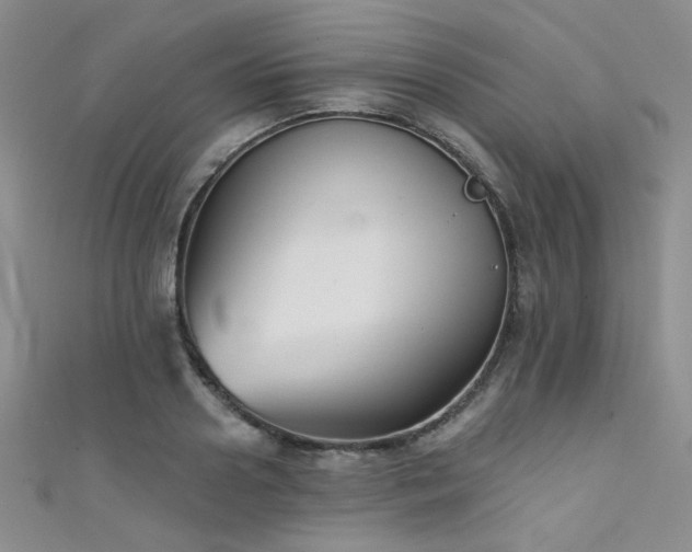 X0000111480938200907141215