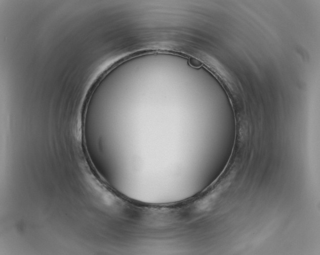 X0000111480940200907141215