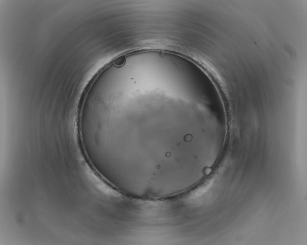 X0000111480941200907141215