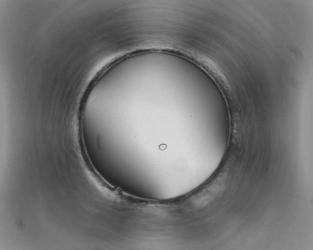 X0000111480942200907141215