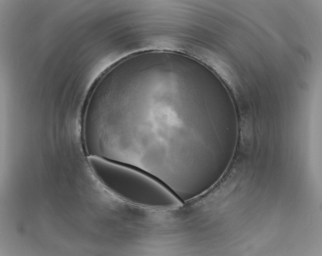 X0000111480944200907141215