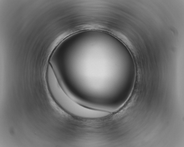 X0000111480946200907141215
