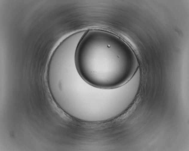 X0000111480948200907141215