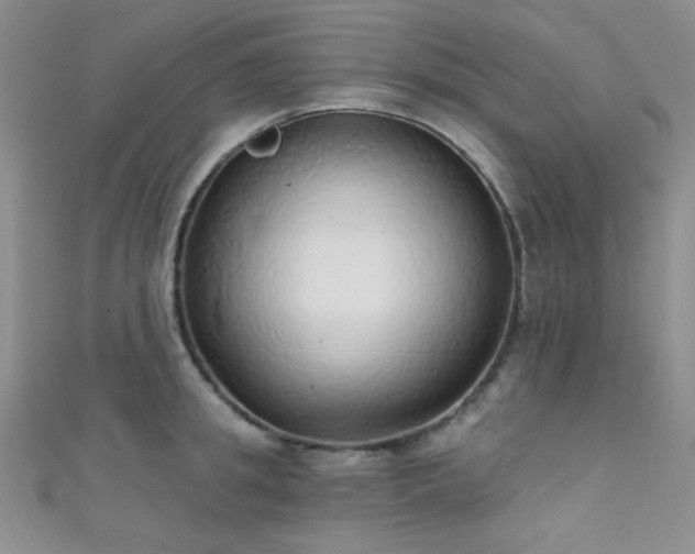 X0000111480949200907141215
