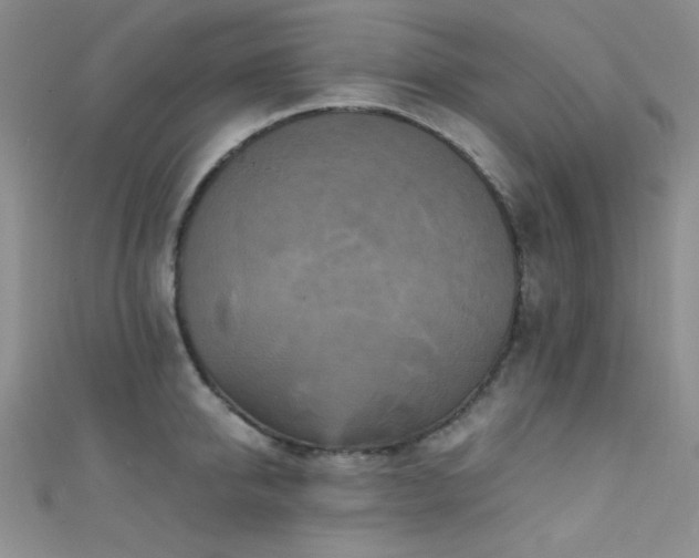 X0000111480950200907141215
