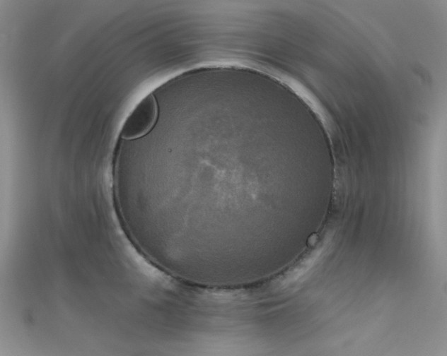 X0000111480951200907141215