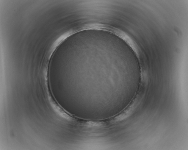 X0000111480954200907141215