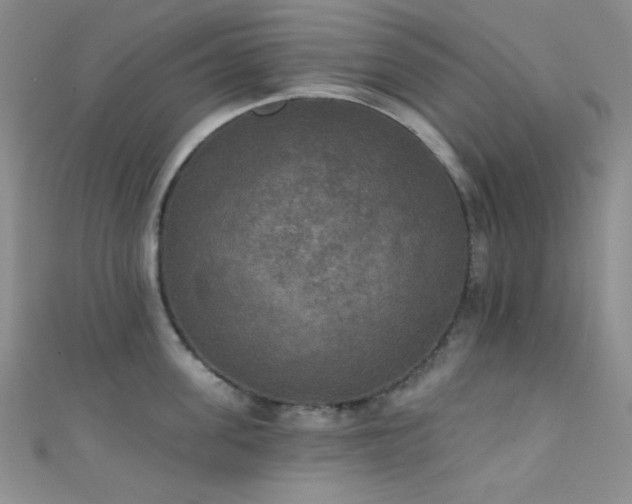 X0000111480955200907141215