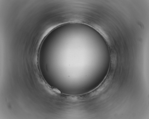 X0000111480956200907141215