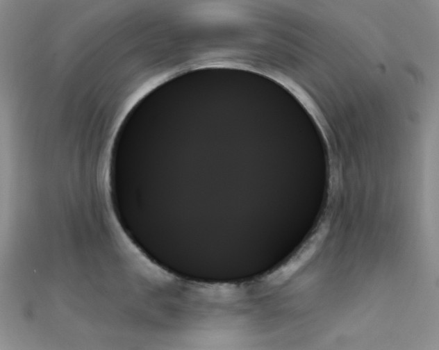 X0000111480957200907141215