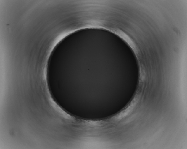 X0000111480958200907141215