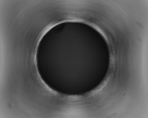 X0000111480959200907141215