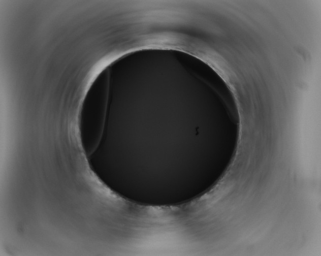 X0000111480960200907141215