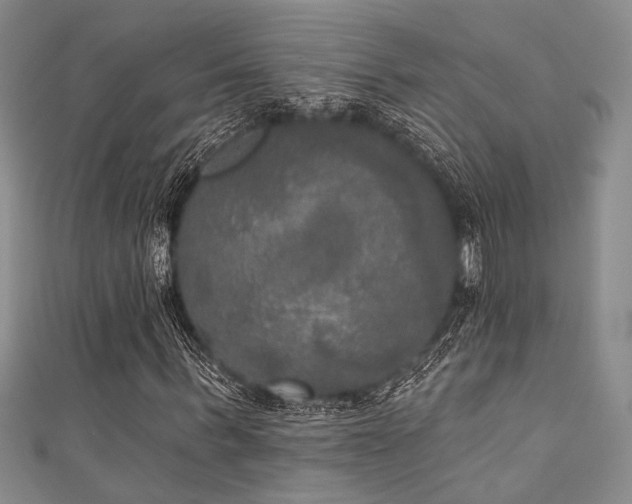 X0000111480963200907141214
