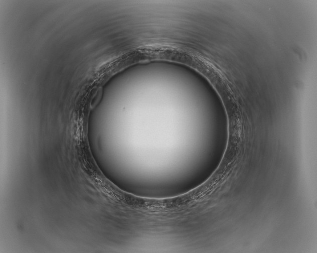 X0000111480965200907141214