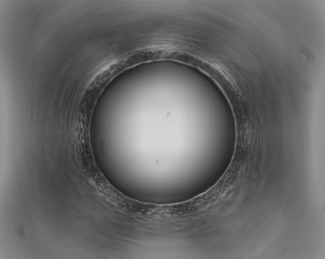 X0000111480967200907141214