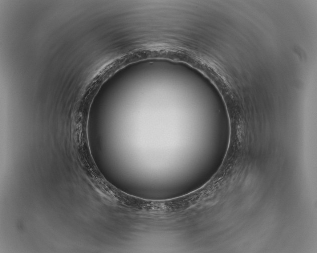 X0000111480968200907141214
