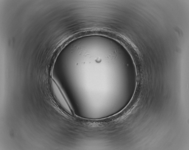 X0000111480969200907141214