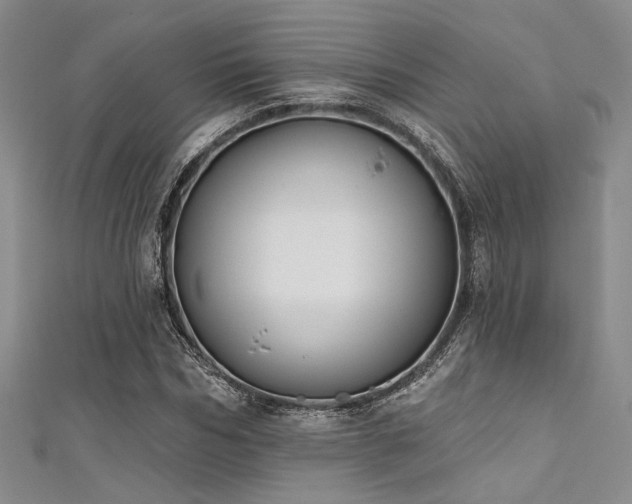 X0000111480970200907141214
