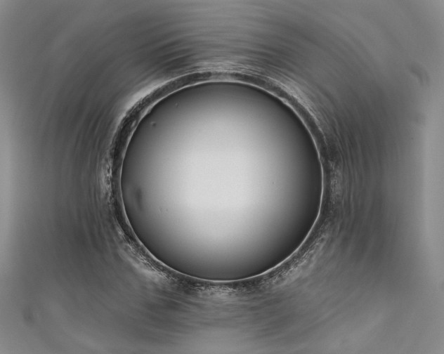X0000111480971200907141214