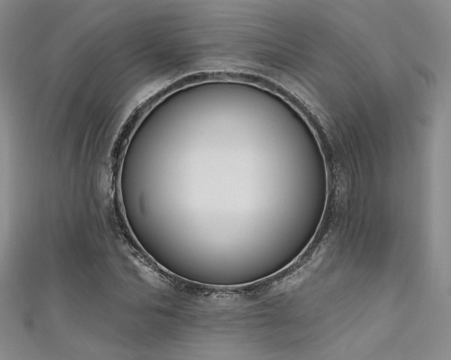 X0000111480974200907141214