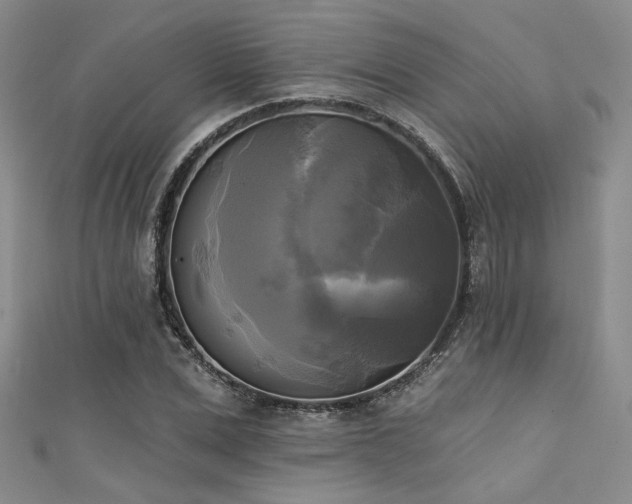 X0000111480975200907141214