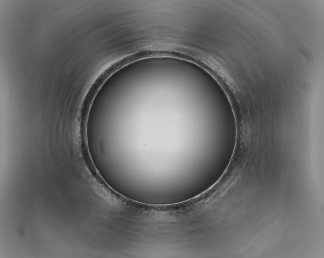 X0000111480976200907141214