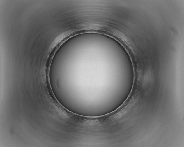 X0000111480978200907141214