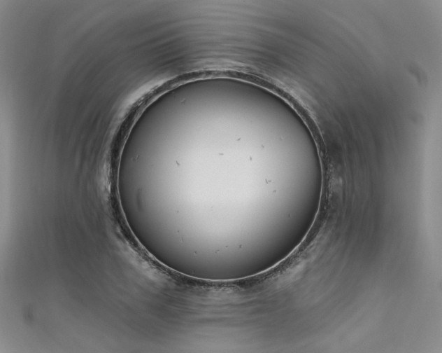 X0000111480979200907141214