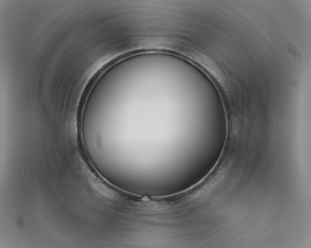 X0000111480980200907141214