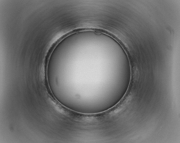 X0000111480982200907141214
